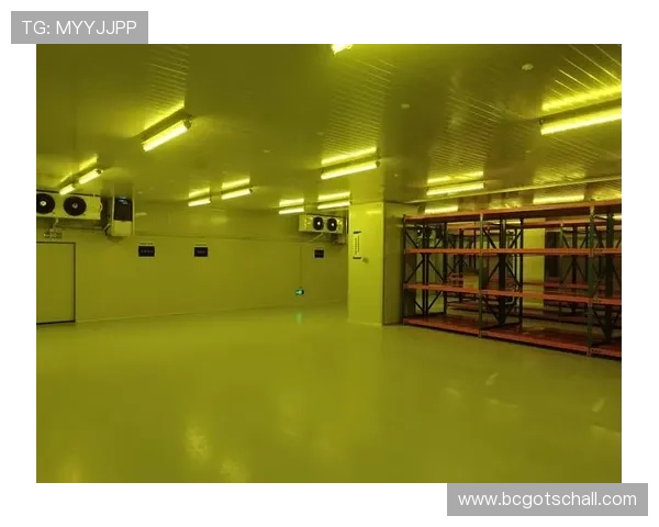 K8凯发数字站：探索最新的在线娱乐体验与安全保障措施